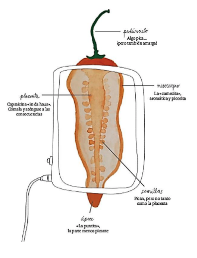 Mejor si pica capsaicina