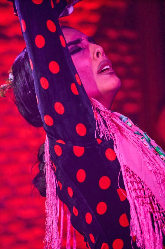 Tablao La Carmela