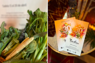 Tudela Fiesta verduras