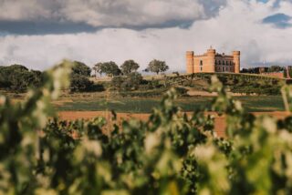 Bodegas Monte la Reina