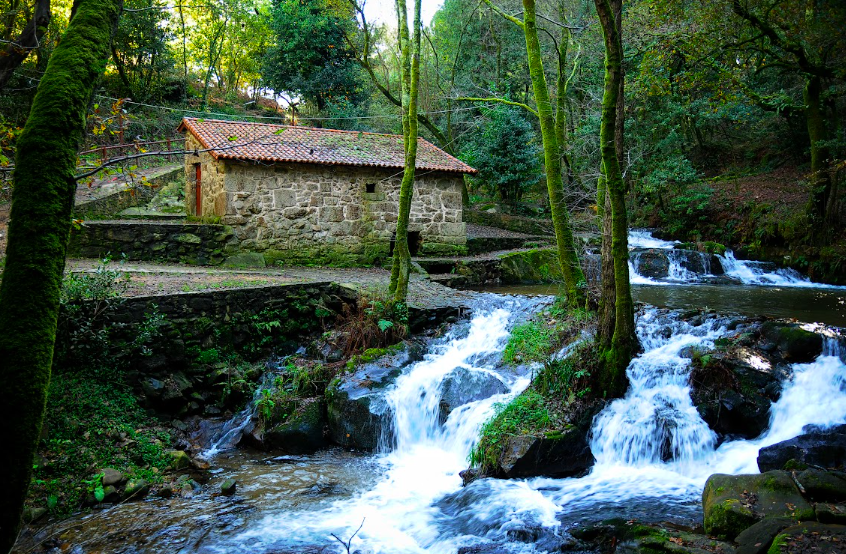 O Salnes molino