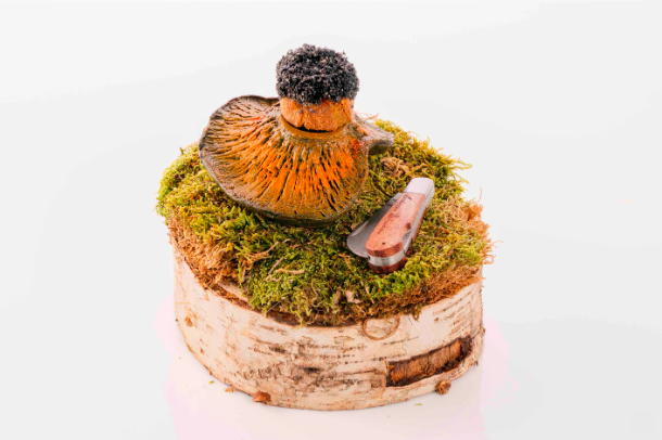 Concurso de Pinchos y Tapas de Castilla y León tapa ganadora