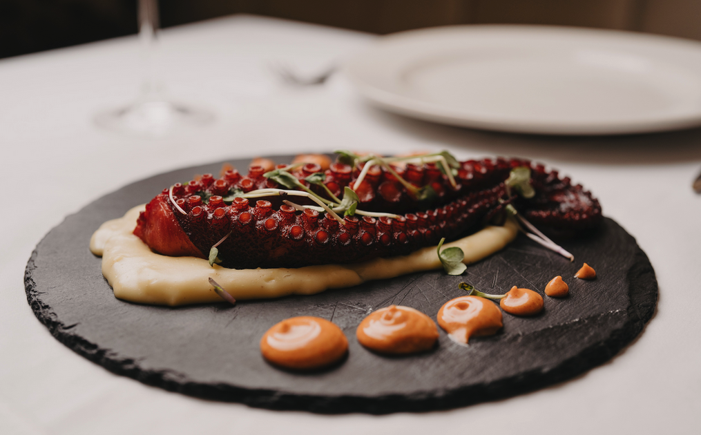 La Reinosa Santander pulpo