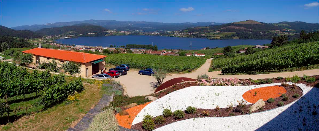 bodega eduardo peña