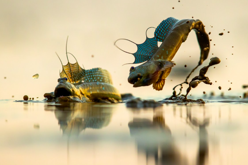 HÁBITAT Exposición fotografia