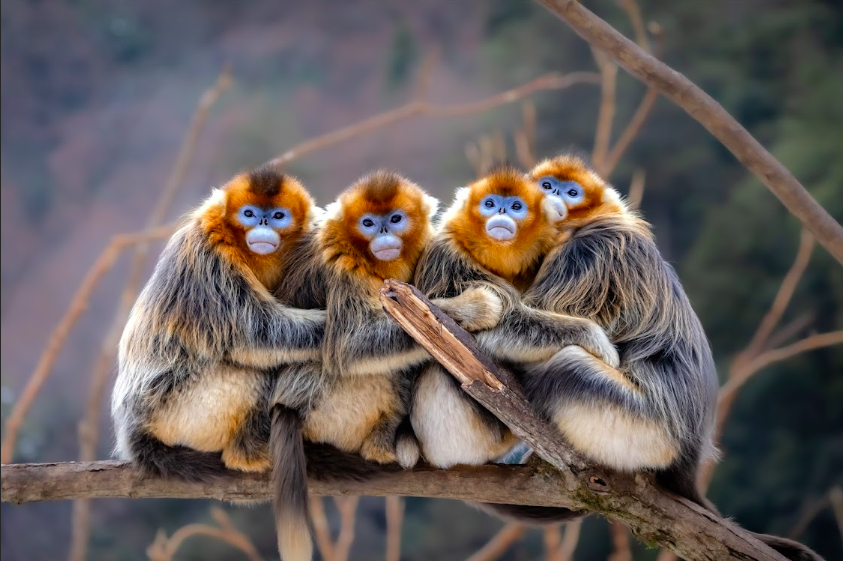 HÁBITAT Exposici&oacute;n fotografia