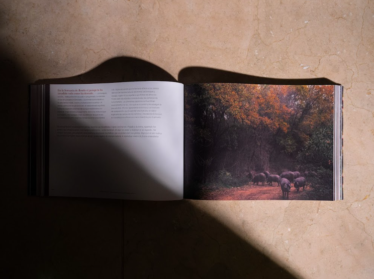 Dehesa Monteros libro El sueño de la serrania de Ronda