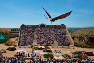 Puy du Fou