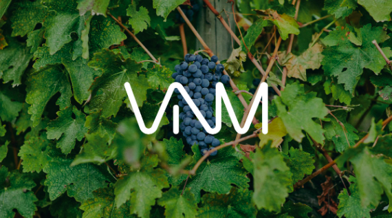 Vinos Del Nuevo Mundo