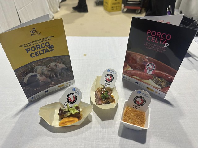 Porco Celta