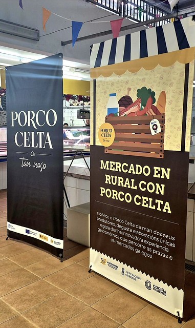 Porco Celta Mercado