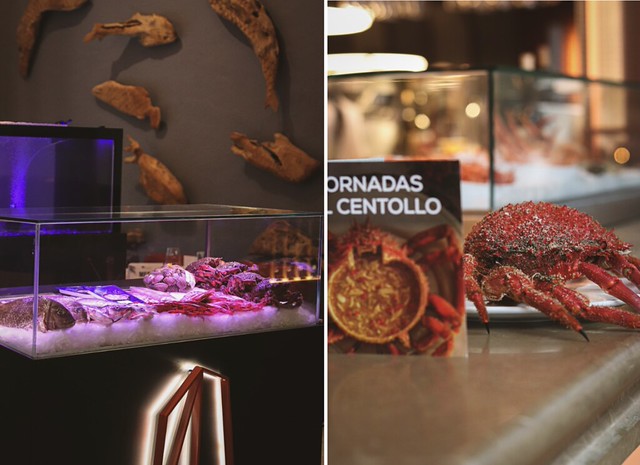 Restaurante Aleteo de Rocacho