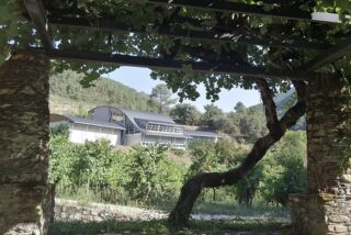 Godeval Bodega y parra centenaria
