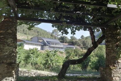 Godeval Bodega y parra centenaria