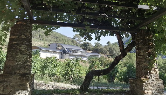 Godeval Bodega y parra centenaria