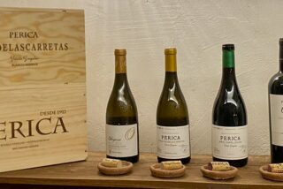 Perica VInos