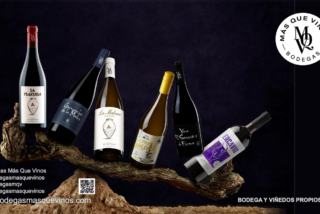 Bodegas Más Que Vinos