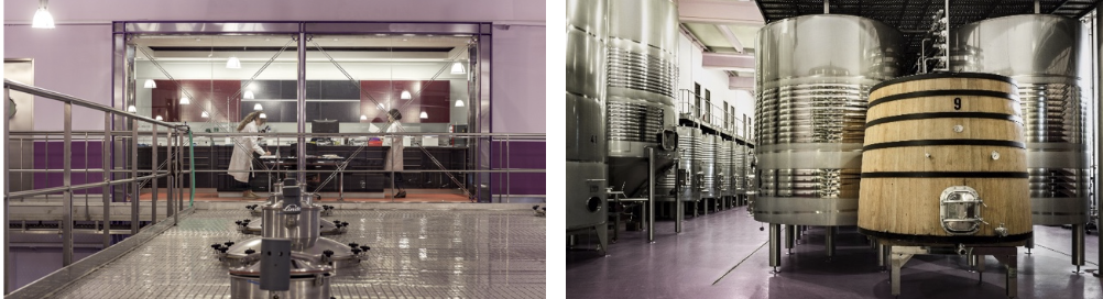 Bodegas Nexus