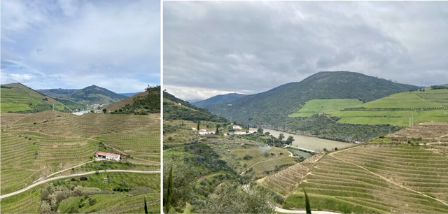 Quinta São José do Barrilário vistas