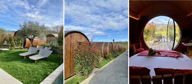Quinta da Pacheca Barrica