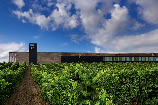 Bodega Laus