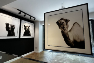 Havet Gallery PhotoEspaña 2026
