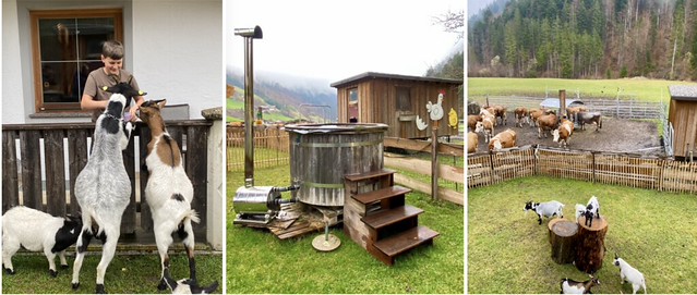 Tirol granja ecologica