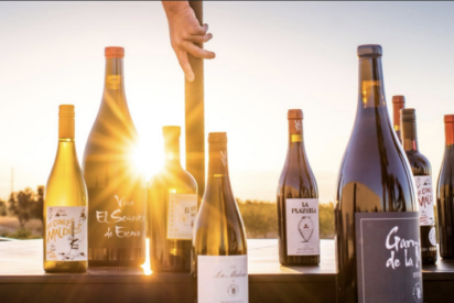 Bodegas Más Que Vinos