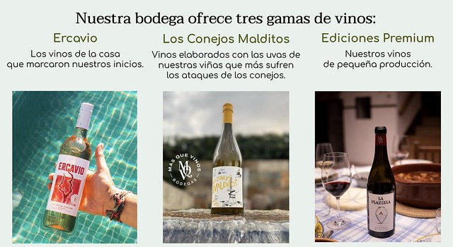 Bodegas Mas que vinos