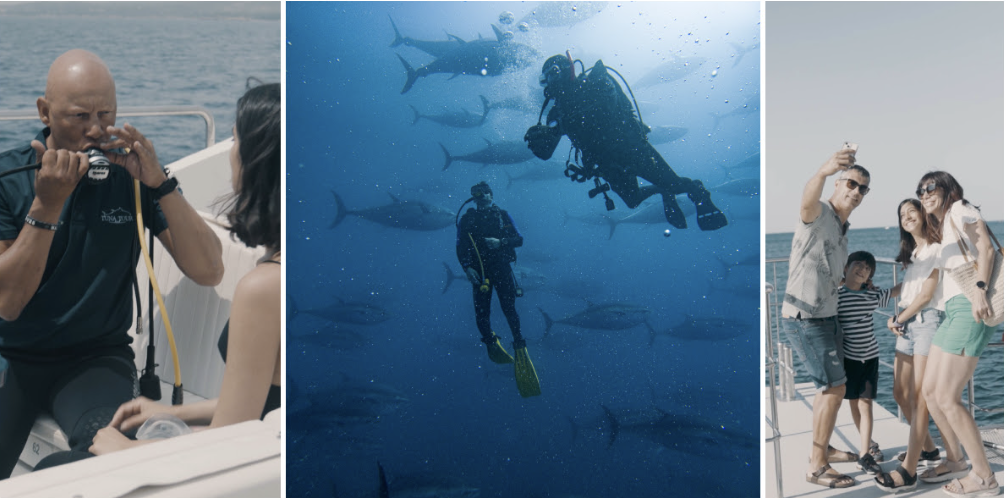 Tuna Tour