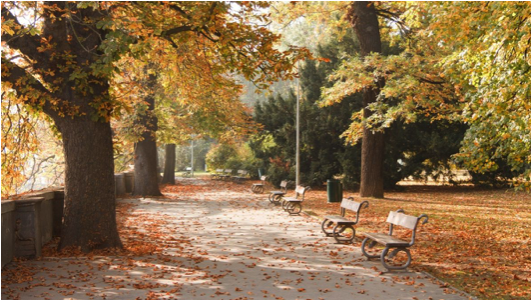 Oto&ntilde;o