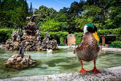 La Fuente del Cisne, de Poniente al Campo Grande - Tres foramontanos en Valladolid - Vimarsana News