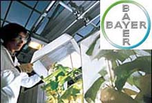 Bayer refuerza su apuesta por la investigaci&oacute;n