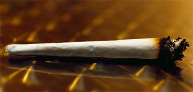 El consumo de cannabis degenera en esquizofrenia
