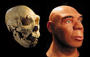 Los hom&iacute;nidos de Atapuerca ya eran diestros con las manos