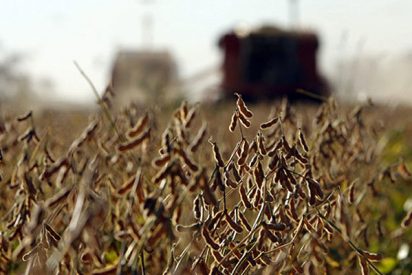 La segunda oportunidad para los biocombustibles