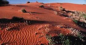 Australia cierra un gran desierto para prevenir muertes durante el verano