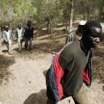 Seis inmigrantes de un grupo de 20, consiguen saltar la valla