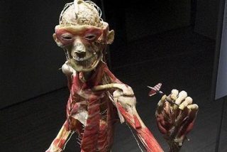 Esculturas de cad&aacute;veres a domicilio