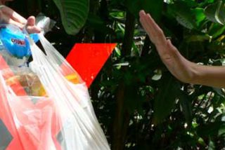 Un fraude científico convirtió a la bolsa de plástico en el villano global