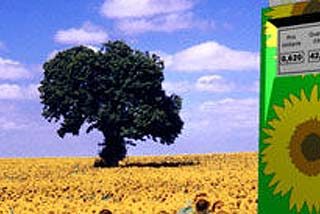 Abandonar los biocarburantes para luchar contra el hambre