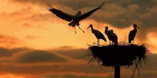 Pron&oacute;stico del Tiempo para este domingo 1 de marzo de 2026