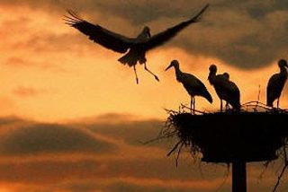 Pron&oacute;stico del Tiempo para este domingo 1 de marzo de 2026