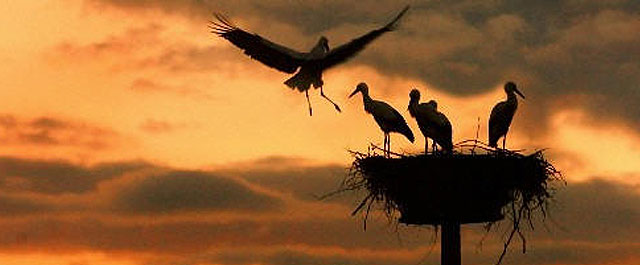 Pron&oacute;stico del Tiempo para este lunes 16 de febrero de 2026