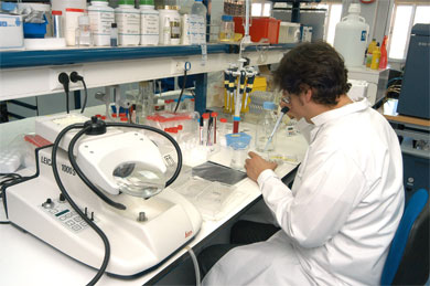 El SIDA, un modelo de negocio