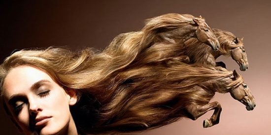 Cuidado b&aacute;sico del cabello