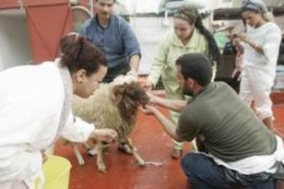 Melilla, primera ciudad espa&ntilde;ola que tendr&aacute; una fiesta oficial musulmana