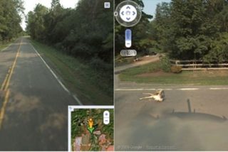 Cazan al coche de Google Maps atropellando a un ciervo