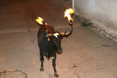 Valencia reclama seguridad para el "toro embolao"