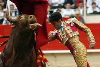 Los toros, los cuernos y los pol&iacute;ticos